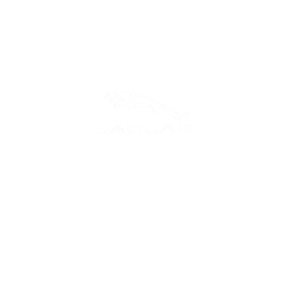 JAGUAR- Muška majica kratkih rukava
