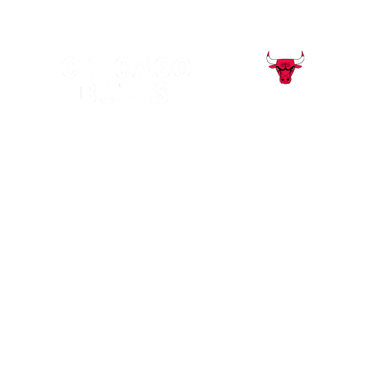 CHICAGO BULLS - Polo muška majica